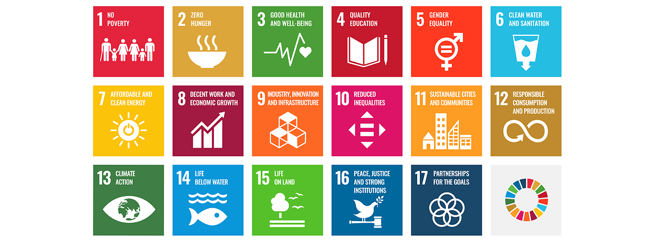 17 objectifs UN